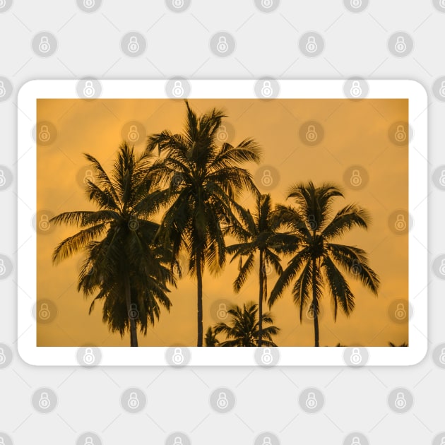 Palms Against an Evening Sky Sticker by fotoWerner